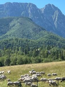 APARTAMENTY z widokiem na Giewont, GÓRALSKI DOM z kominkiem wolnostojący