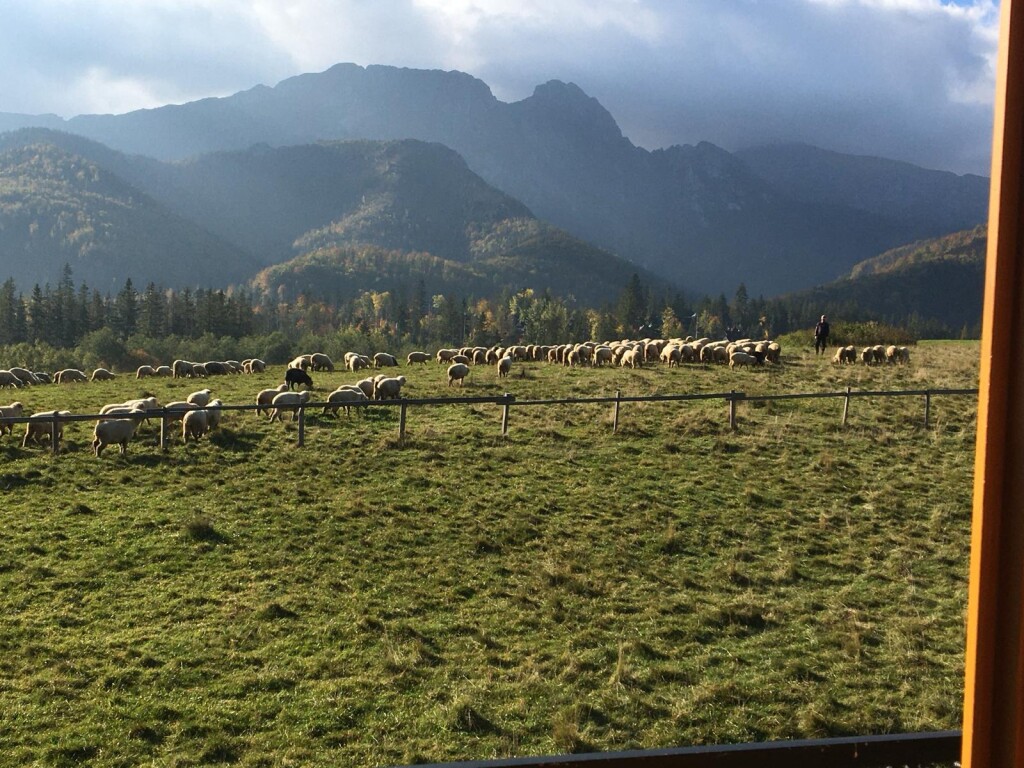 APARTAMENTY z widokiem na Giewont, GÓRALSKI DOM z kominkiem wolnostojący